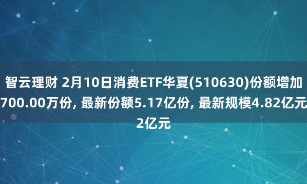 智云理财 2月10日消费ETF华夏(510630)份额增加700.00万份, 最新份额5.17亿份, 最新规模4.82亿元